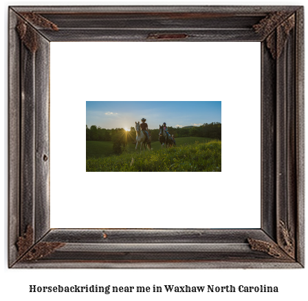 horseback riding near me in Waxhaw, North Carolina